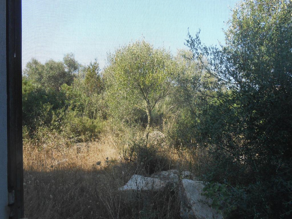 Agriturismo Tupei Calasetta Ruang foto
